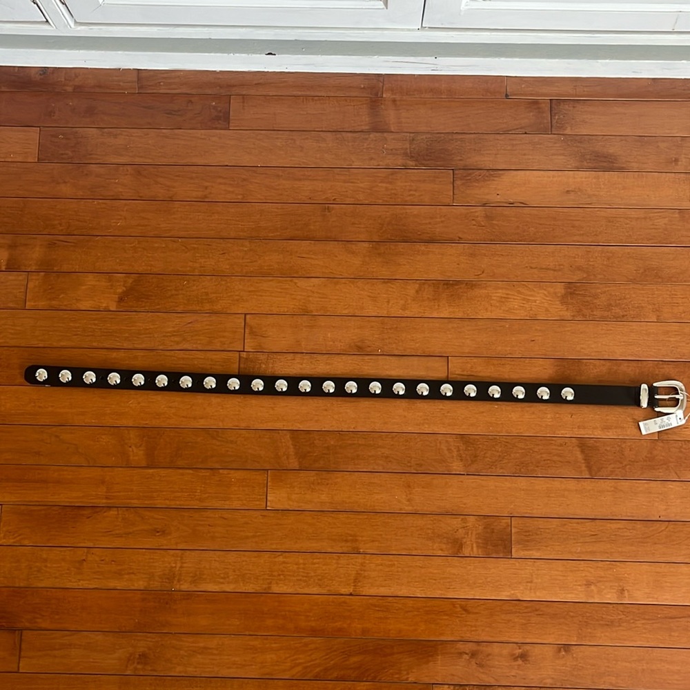 NWT Madewell studded belt